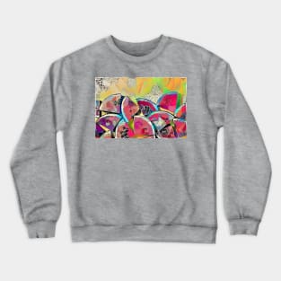 Patia Crewneck Sweatshirt